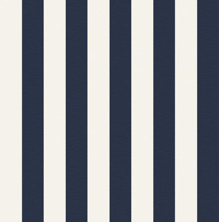 Cabana Stripe Navy Classic Fabric Swatch Image