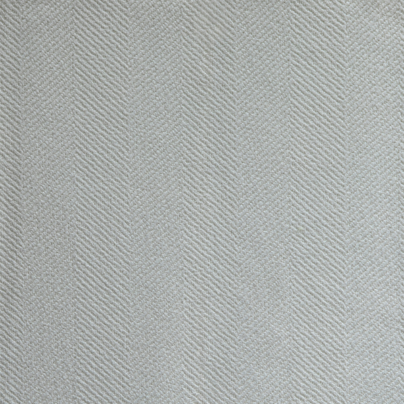 Forest Cotton