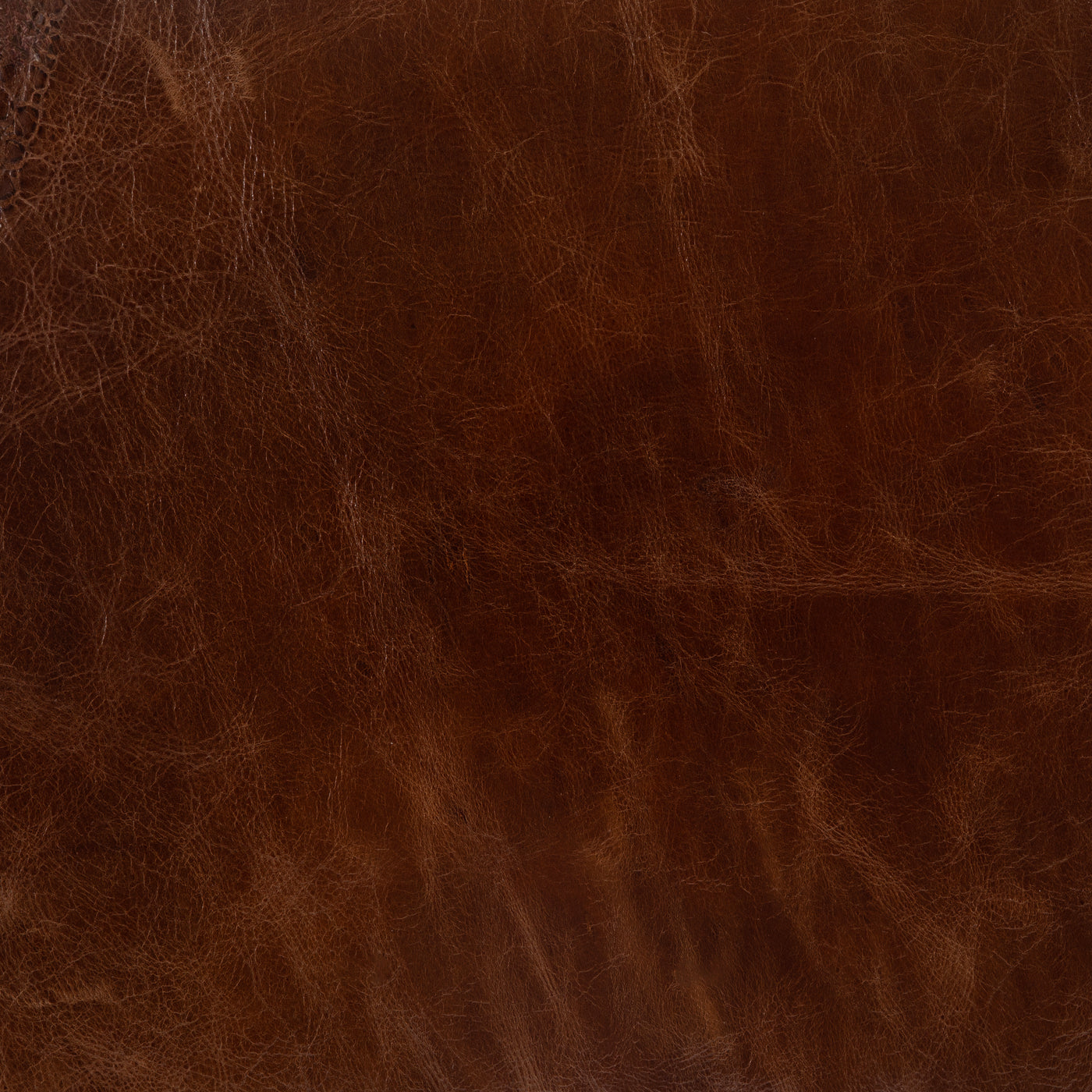 Roughin It Saddle