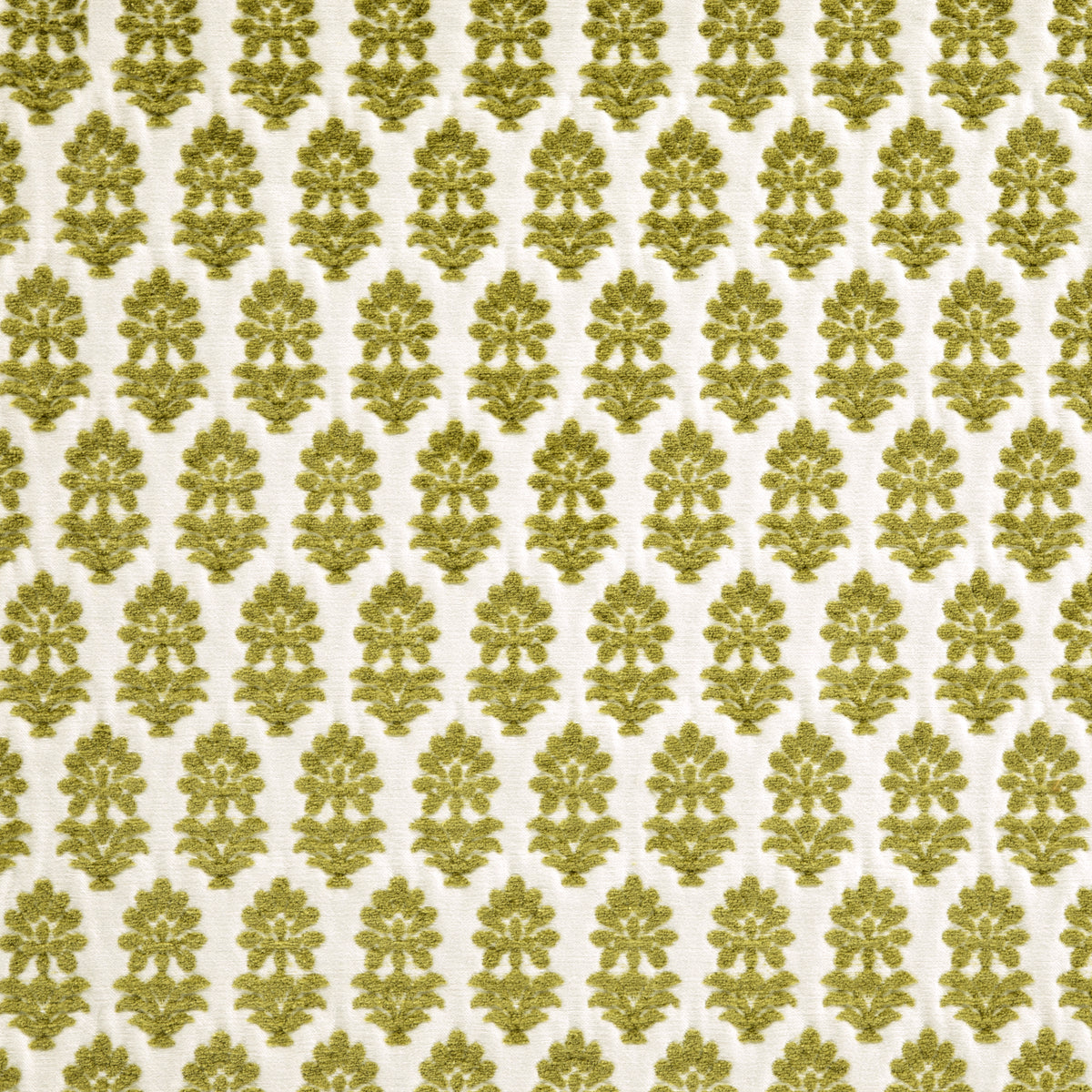 Blossom Citron