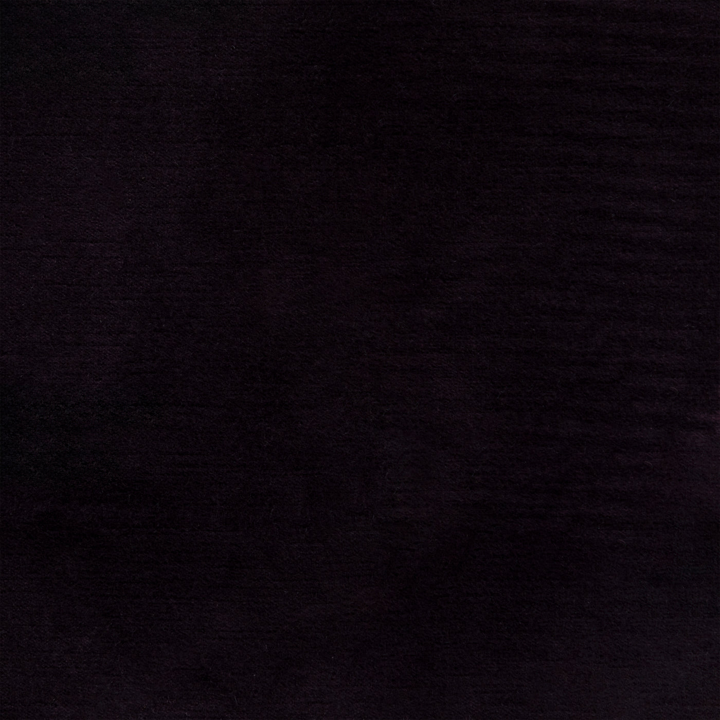 Cloak Eggplant