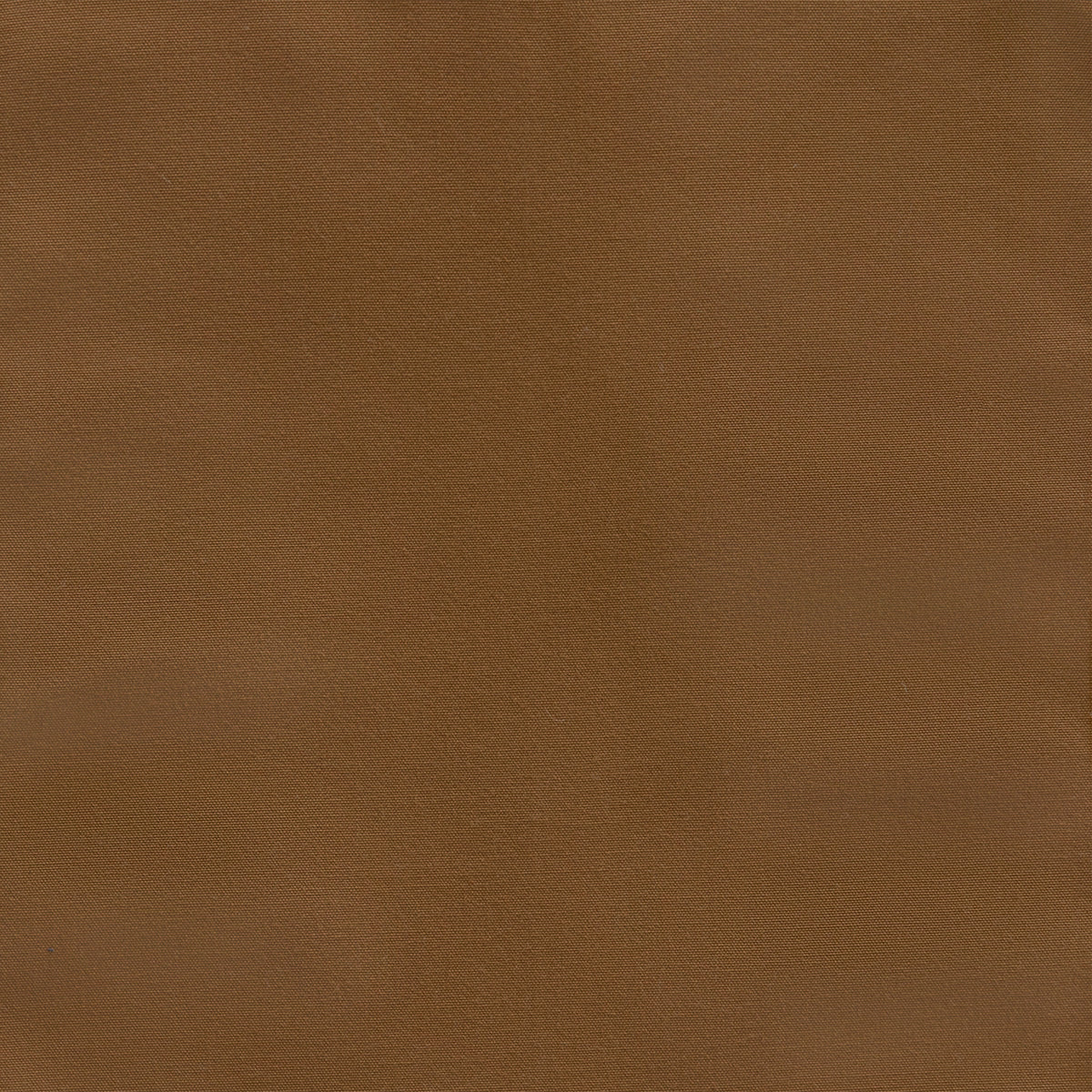Canvas Camel