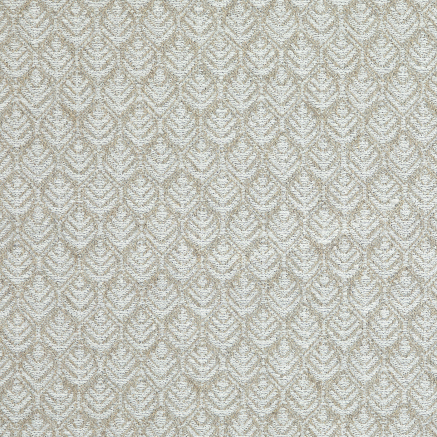 Noah Taupe