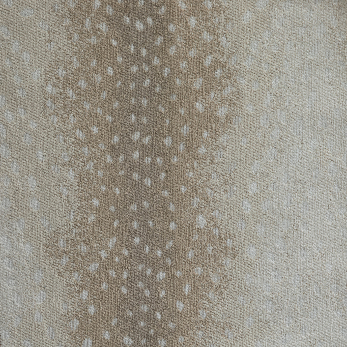 Fawn Almond