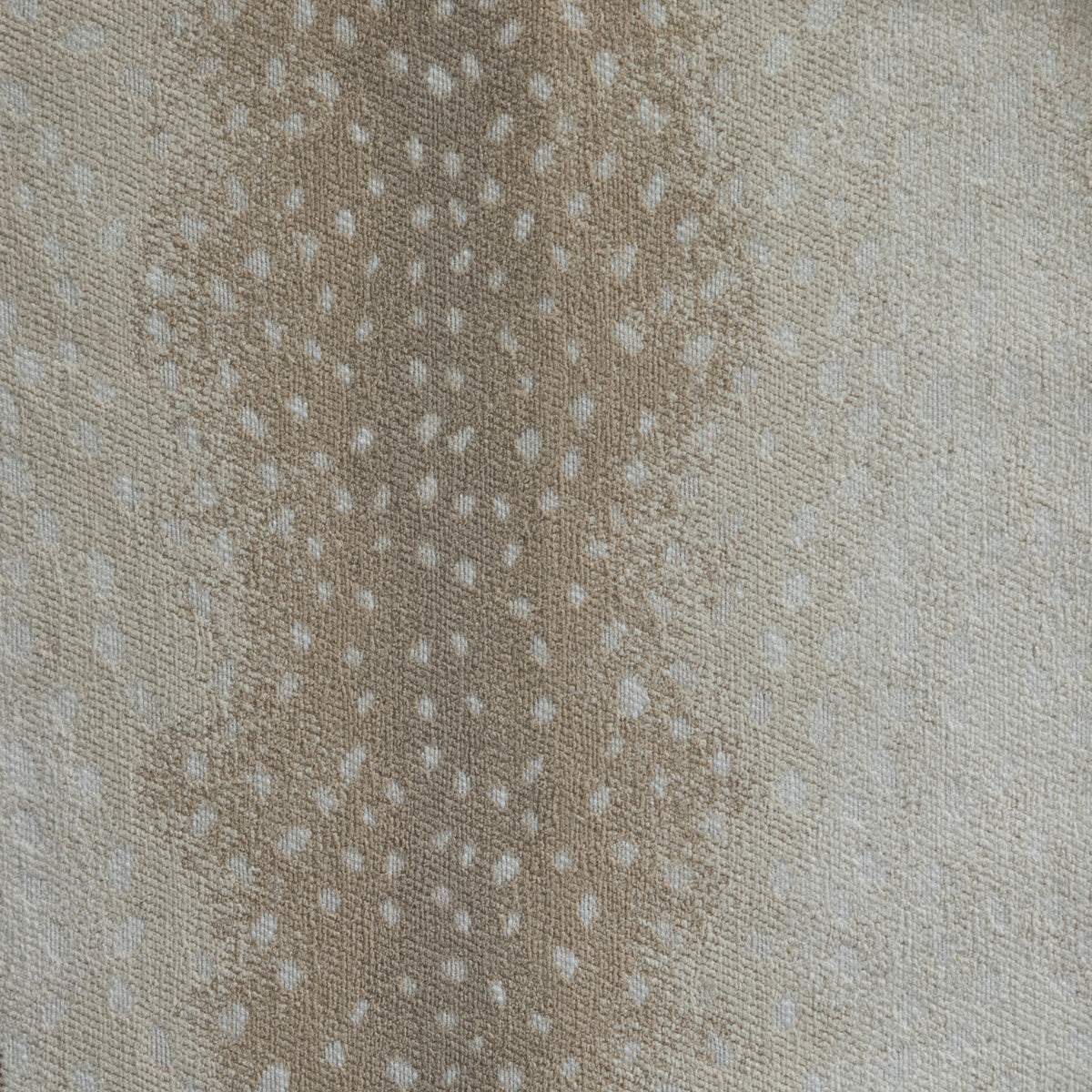 Fawn Almond