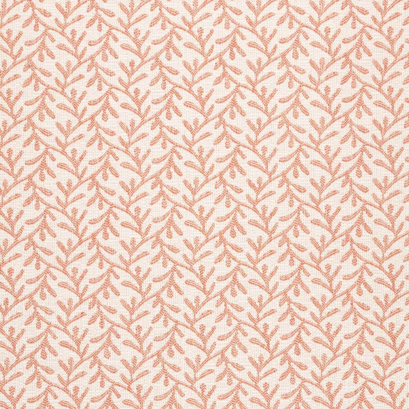 Coral Punch