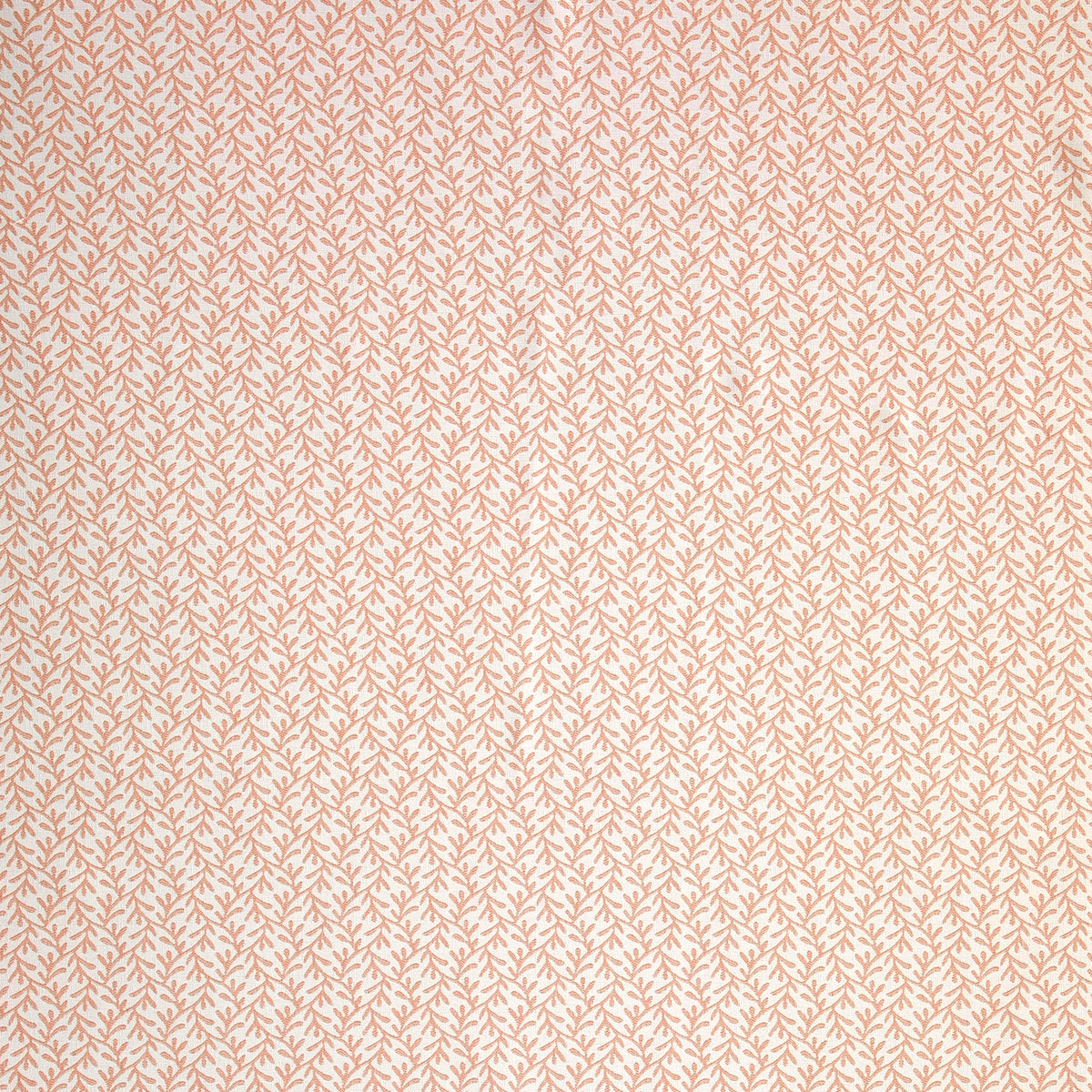 Coral Punch