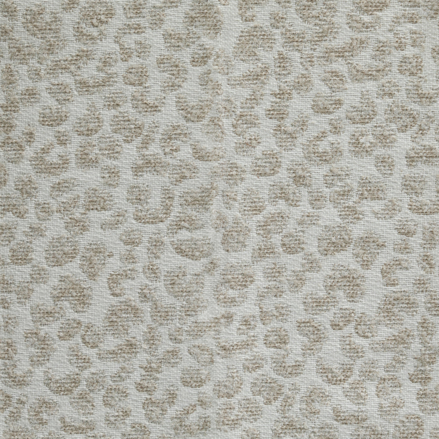 Jaguar Sand