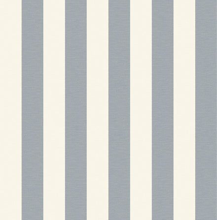 Cabana Stripe Chambray Fabric Swatch Image