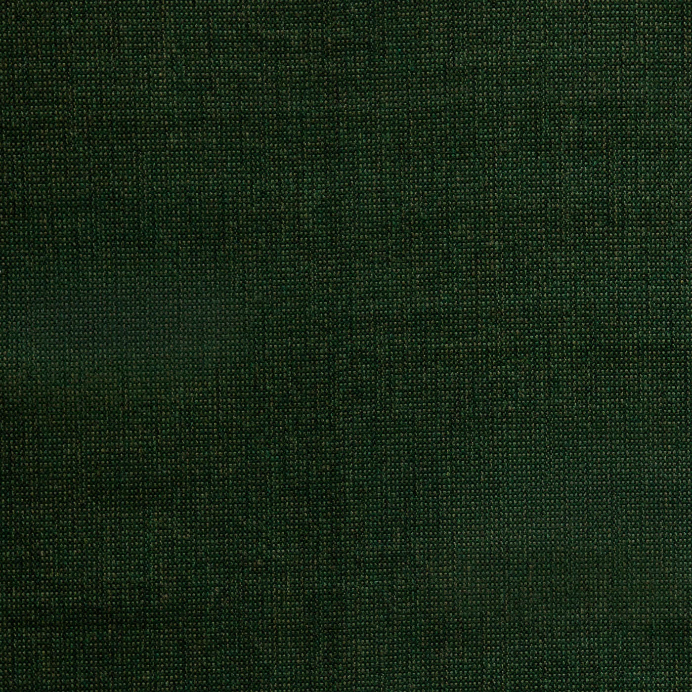 Demo Forest