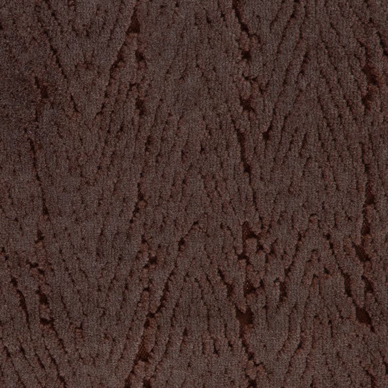 Cypress Plum