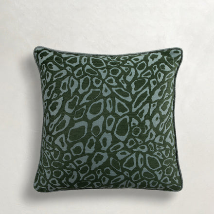 forest-wj-100244