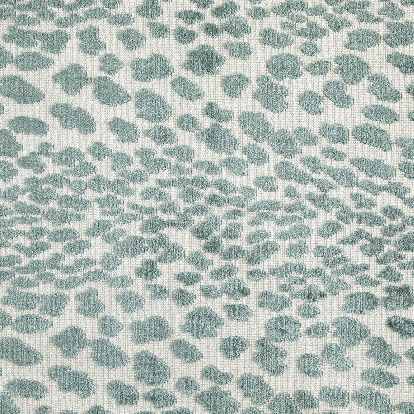 Cougar Blue Spruce