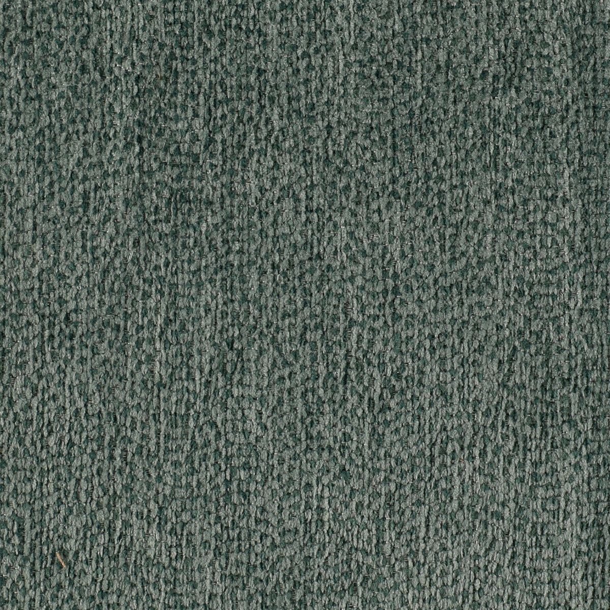 Truffle Blue Spruce