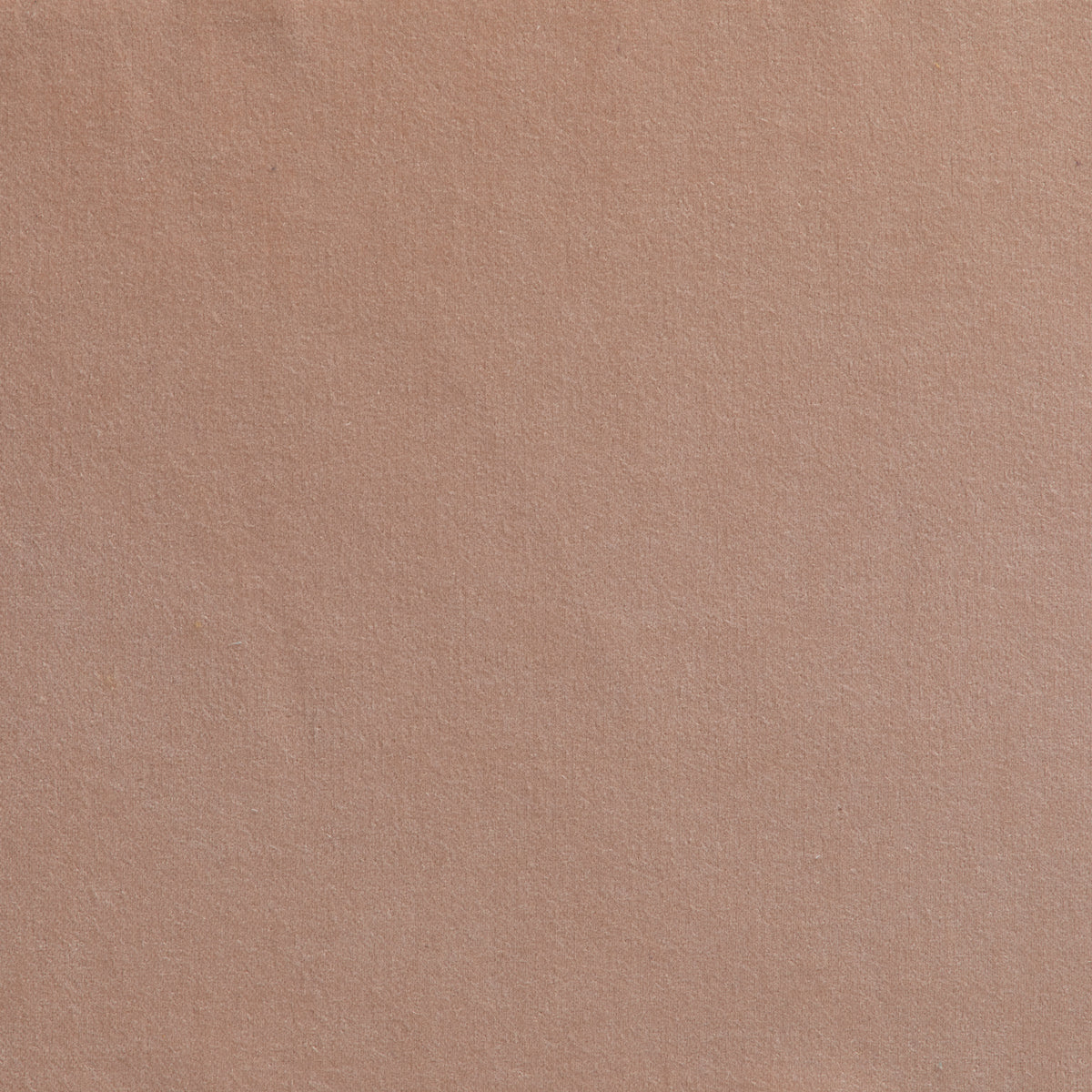 Cicero Blush