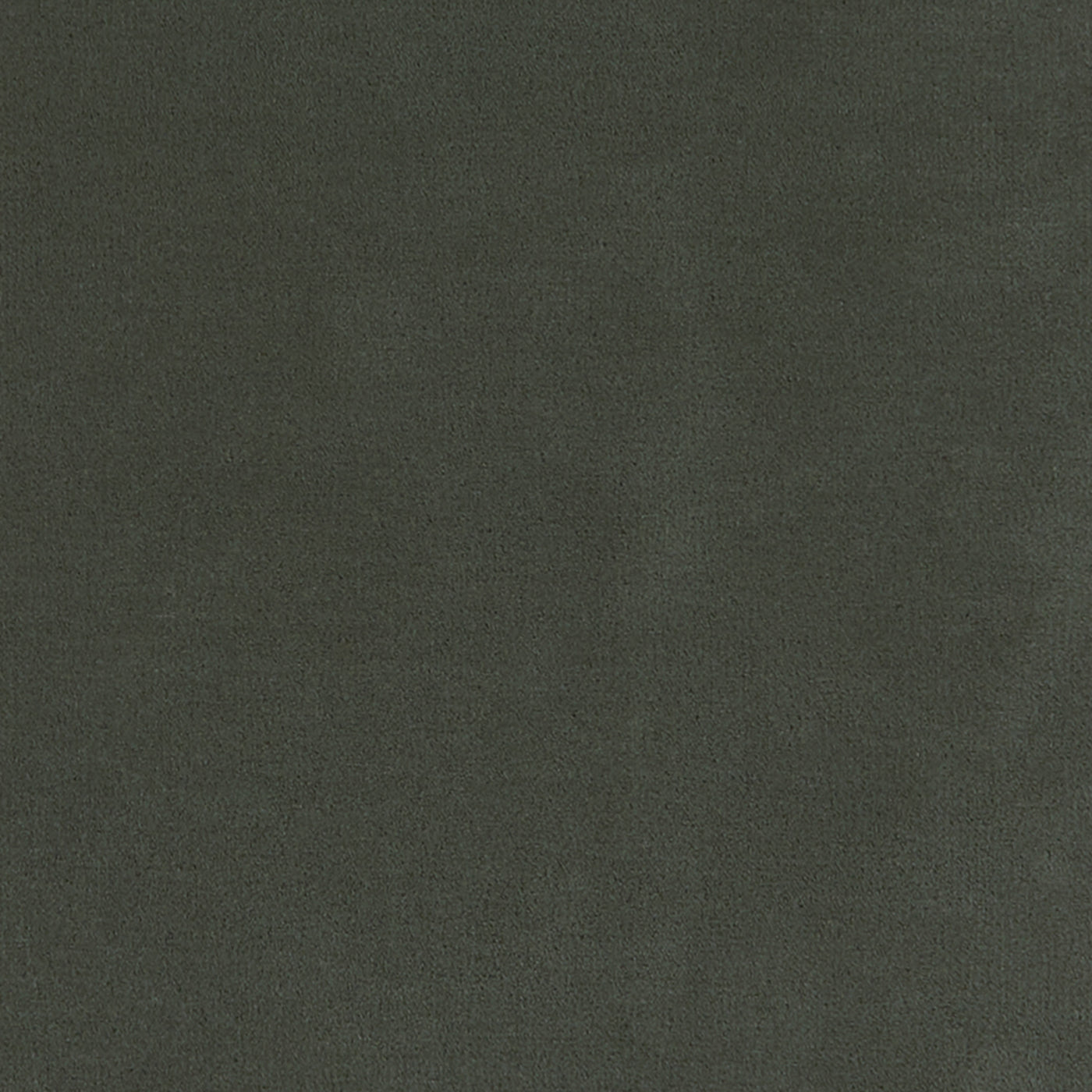 Merino Moss