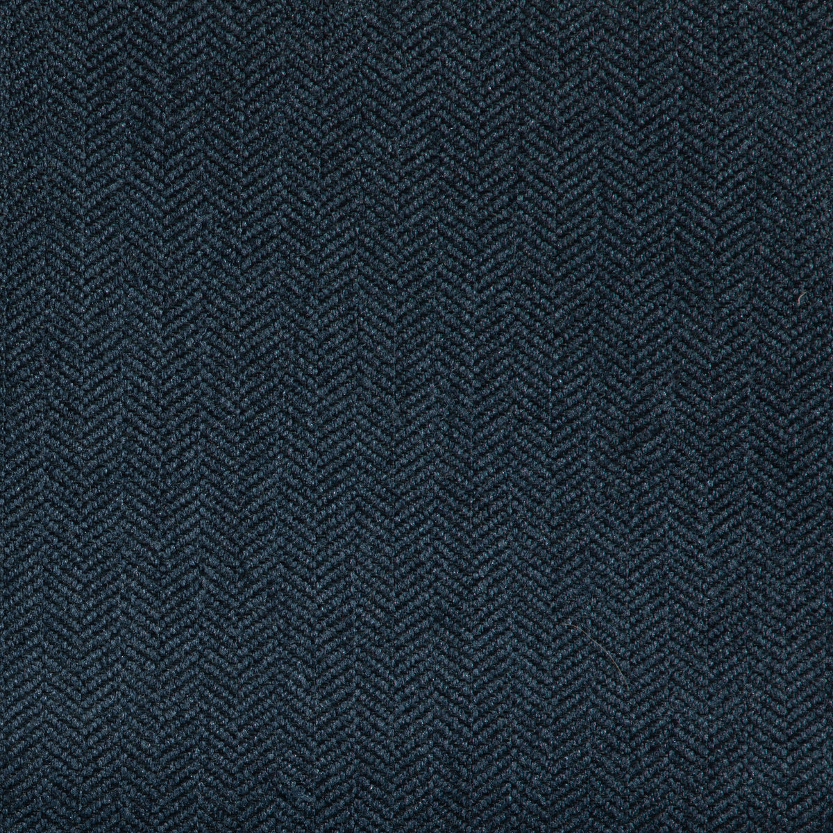 Dapper Indigo