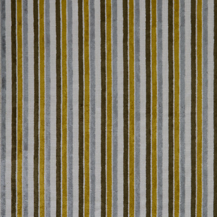 Borderline Citron Fabric Swatch Image
