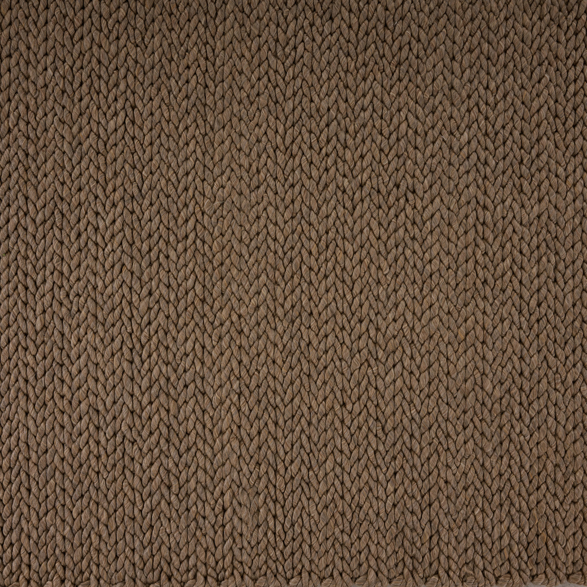 coconut-wj-100445