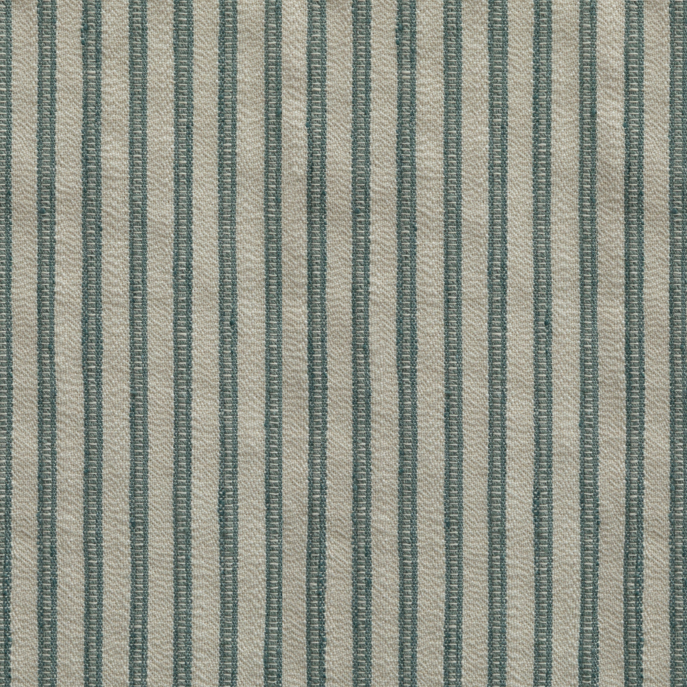 Bones Blue Spruce
