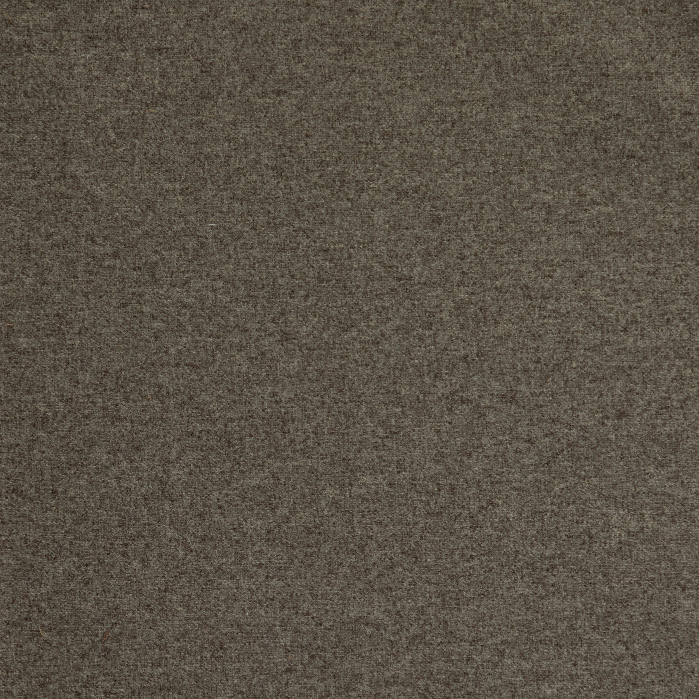 Avast Taupe