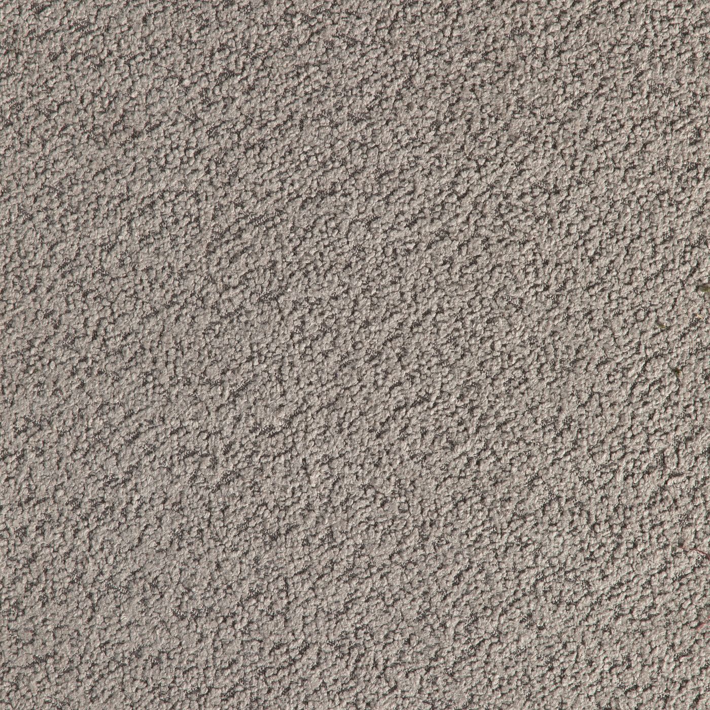 SHORTCUT TAUPE