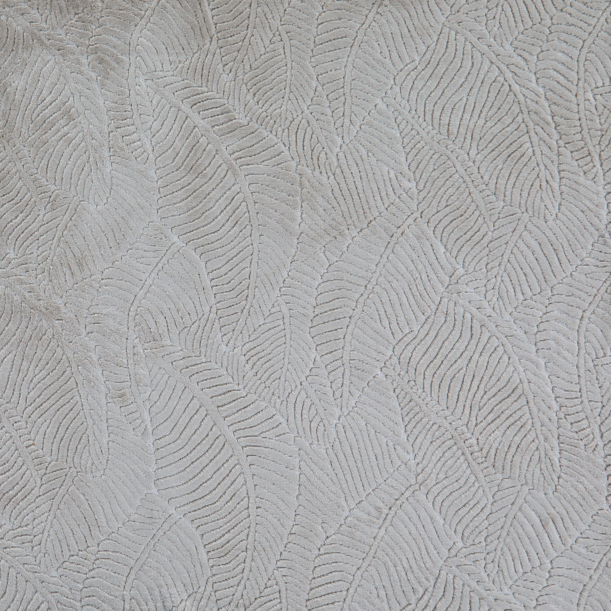 Palmetto Ivory
