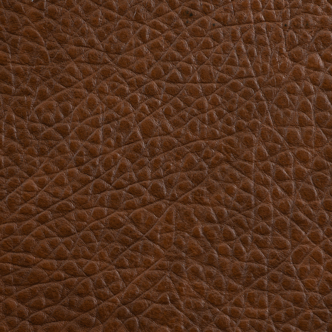 Bison Saddle