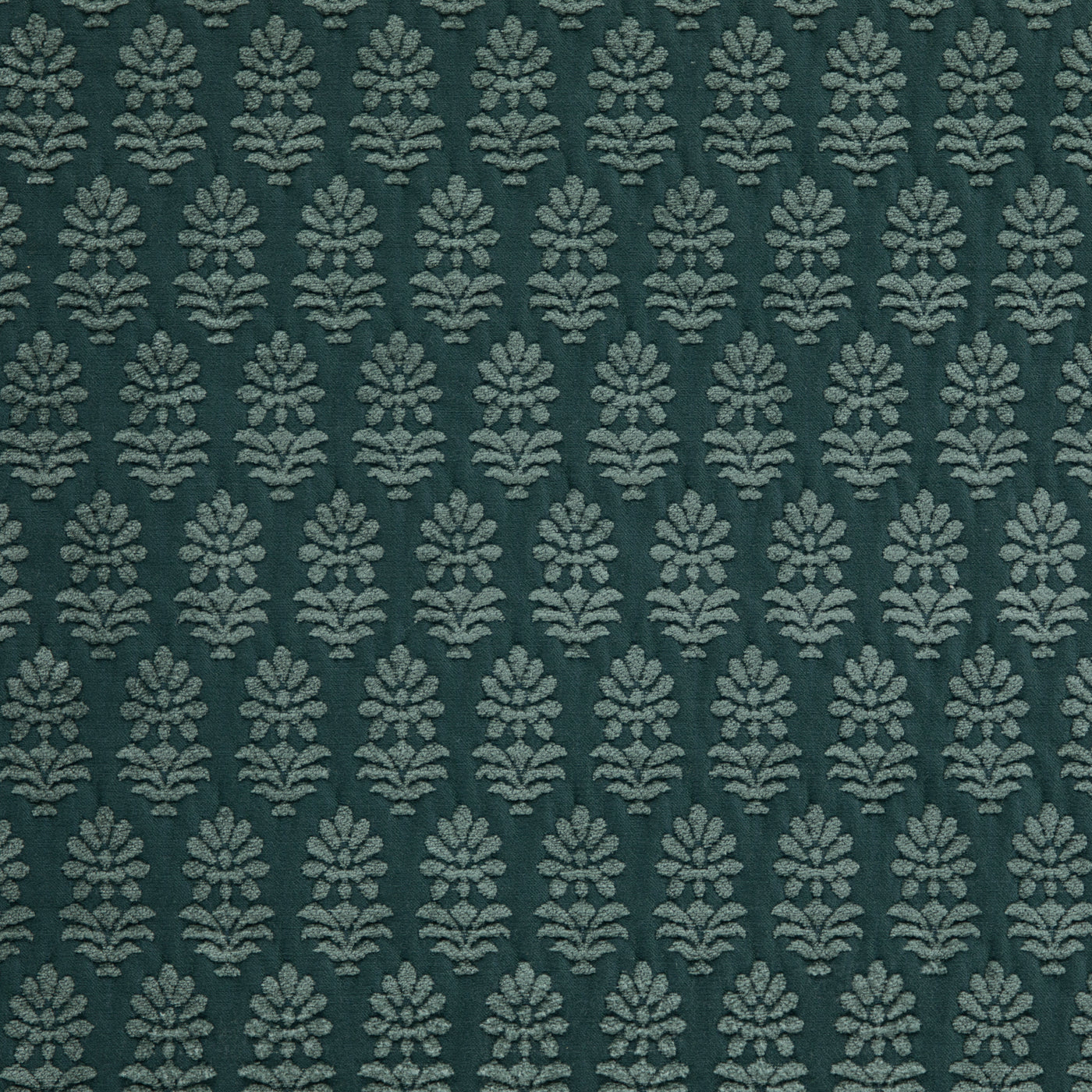 Blossom Blue Spruce