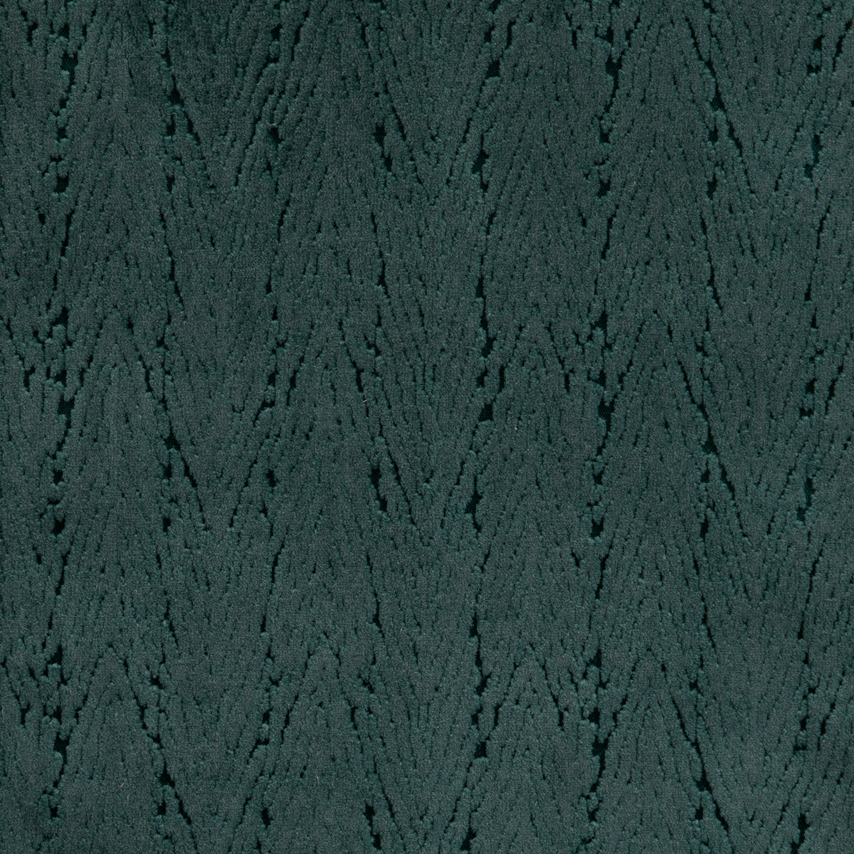 Cypress Blue Spruce