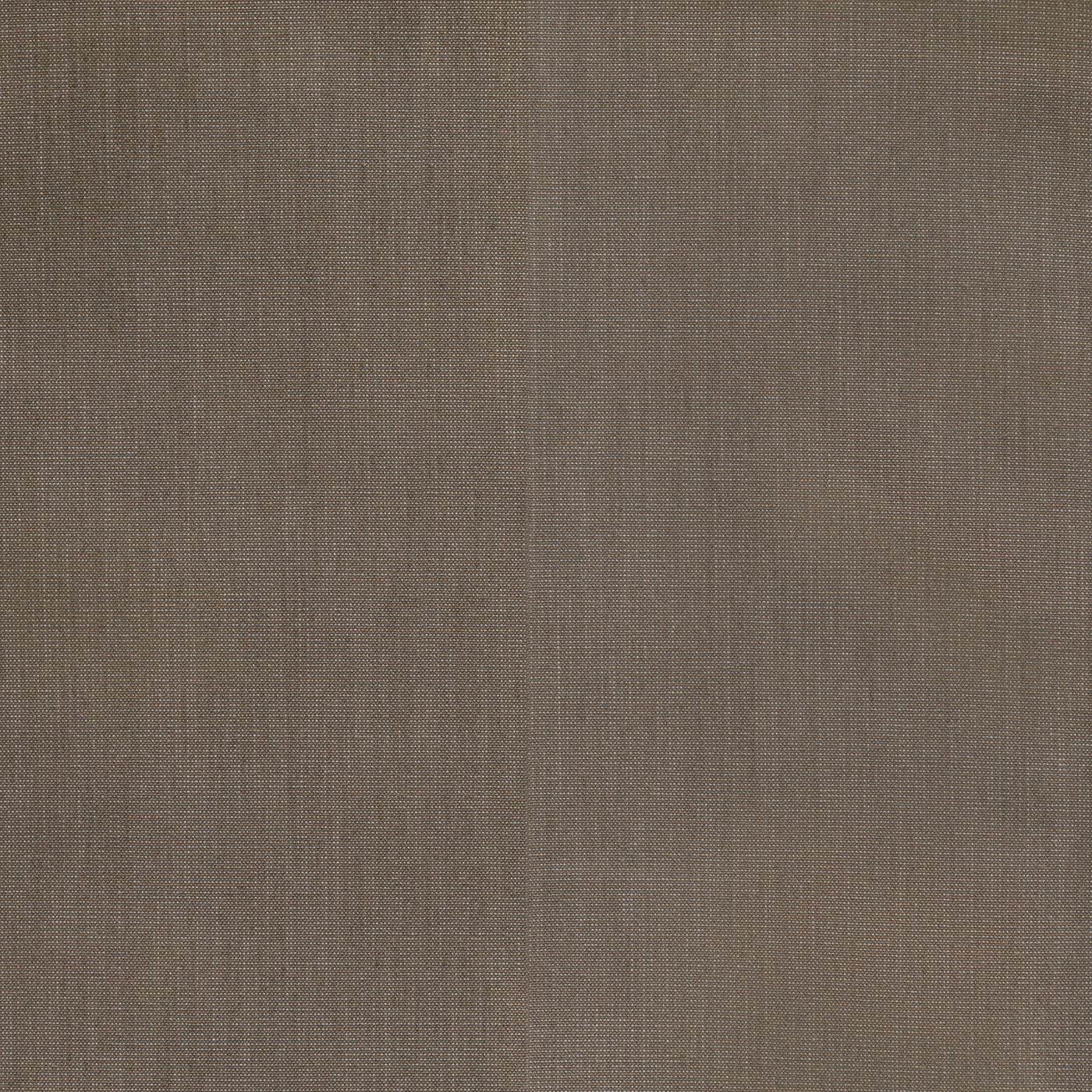 Heidi Taupe