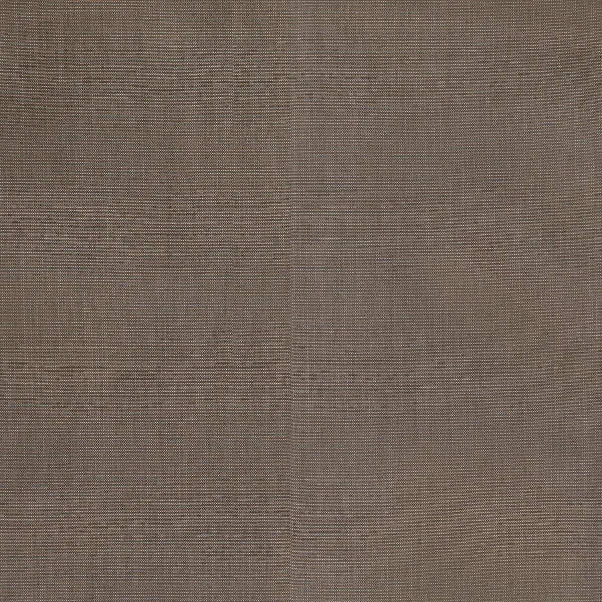 Heidi Taupe