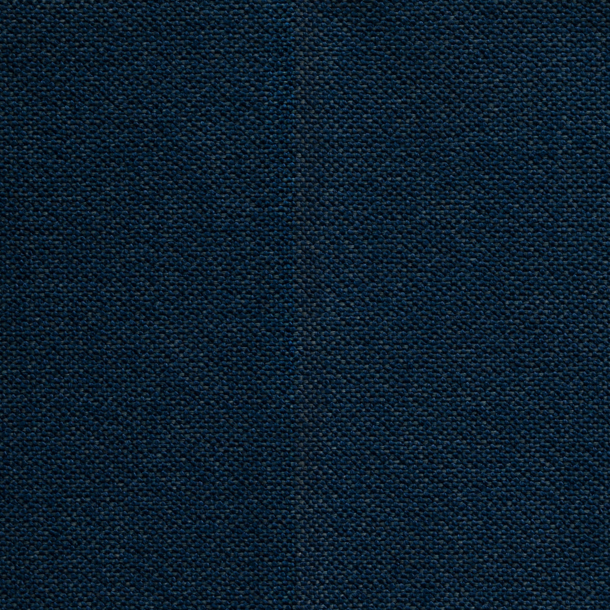 Intermix Indigo