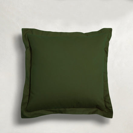 forest-wj-100249