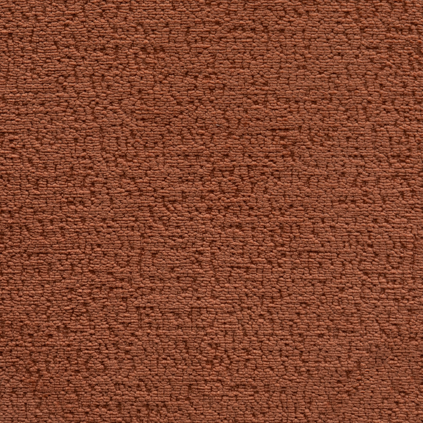 Solo Cinnamon