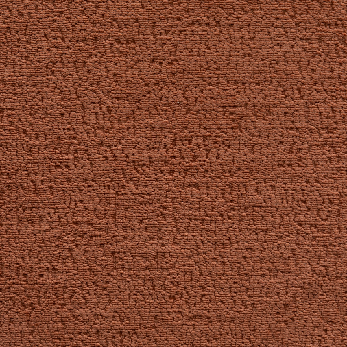 Solo Cinnamon