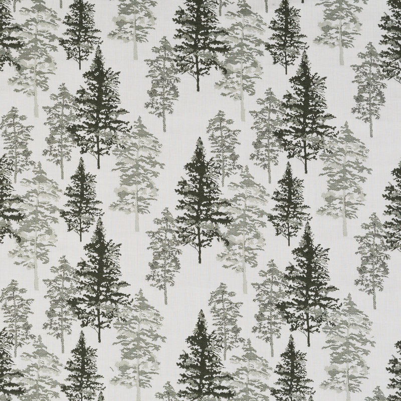 Timber Forest