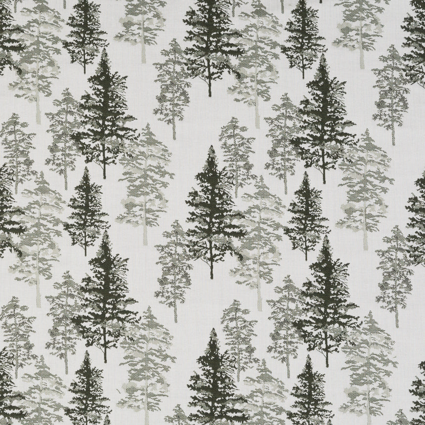 Timber Forest
