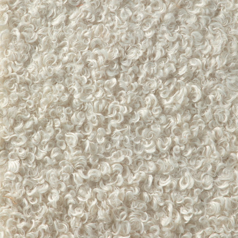 Curly Ivory