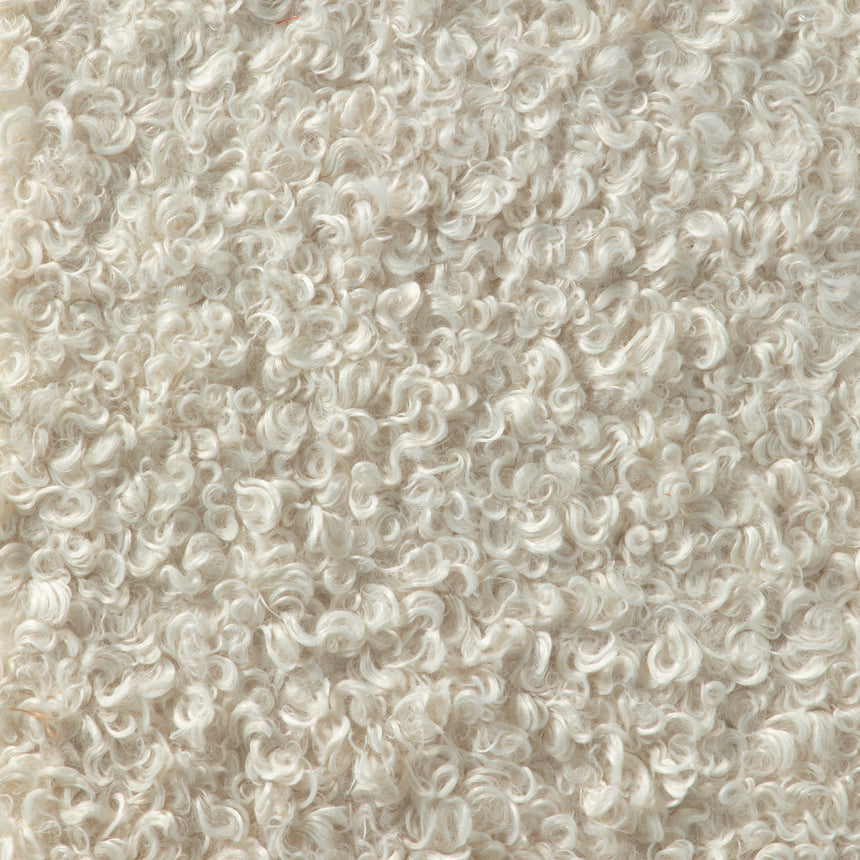 Curly Ivory