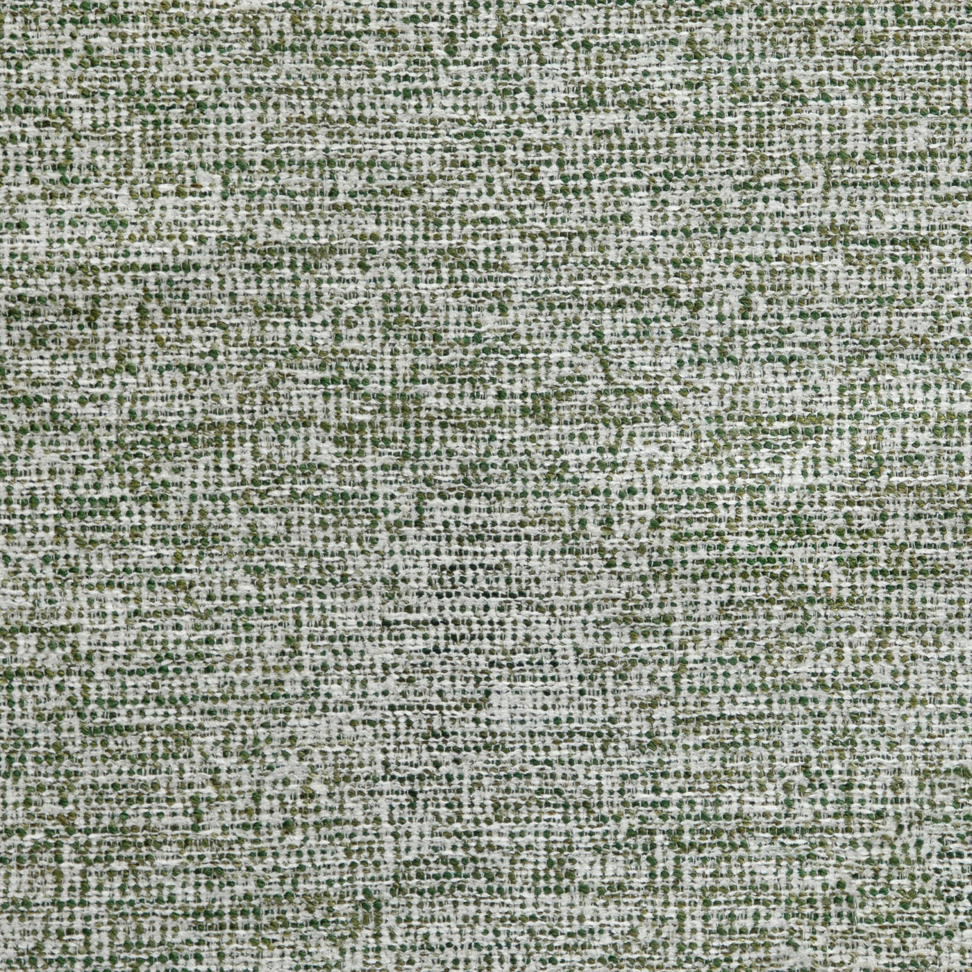 Drift Boucle Forest