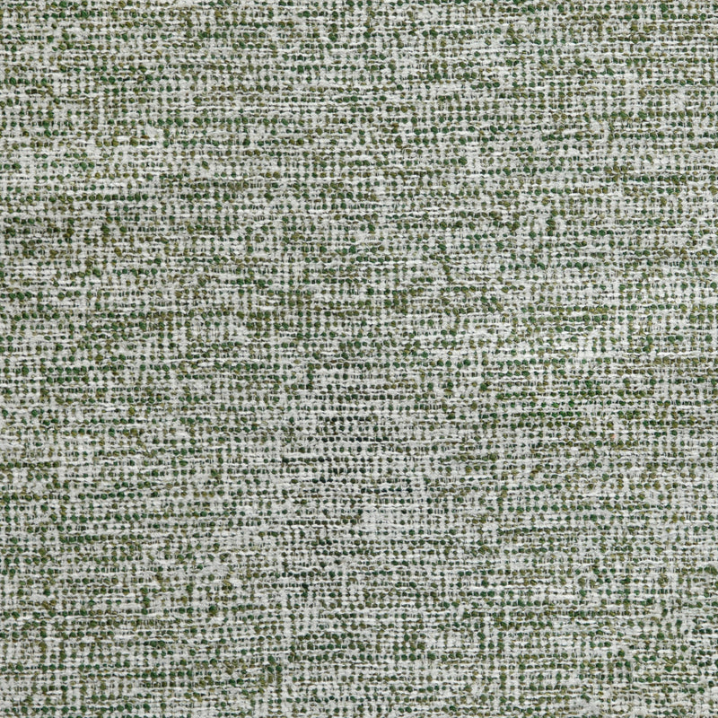 Drift Boucle Forest