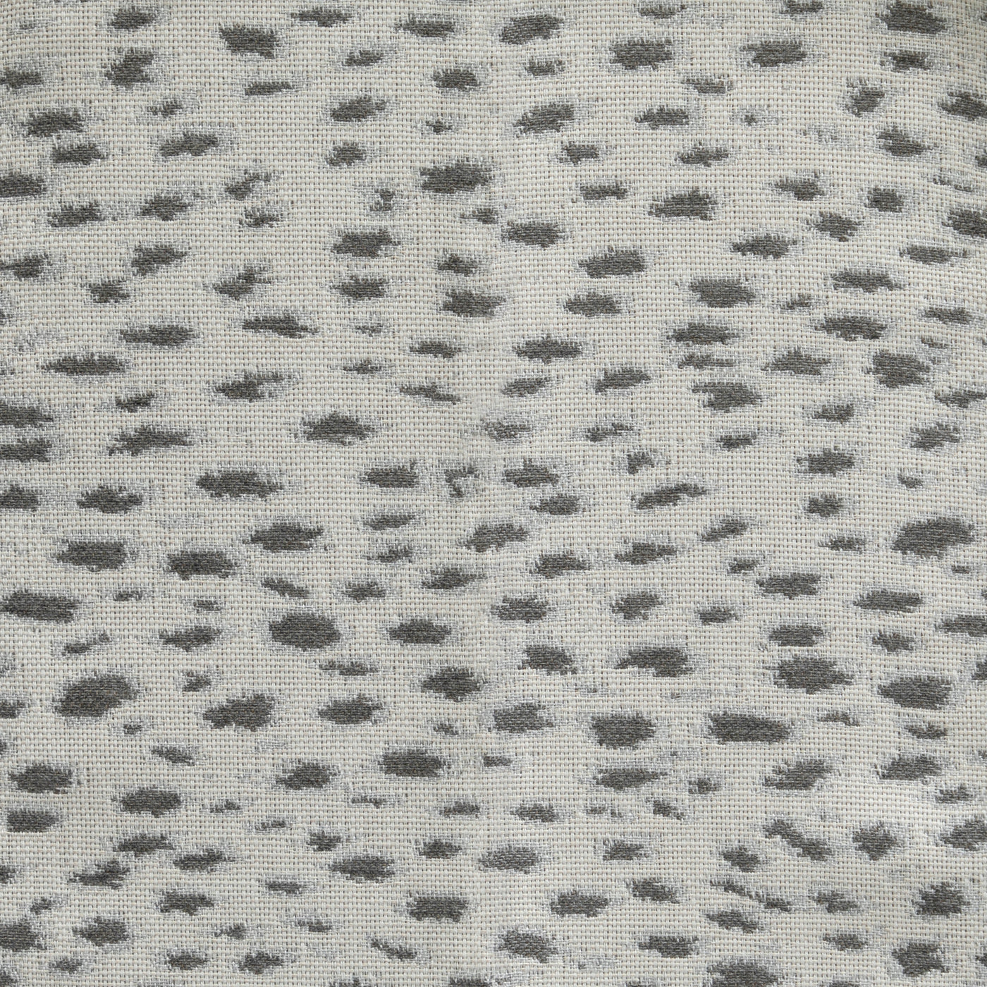 Snow Leopard Dove (tundra