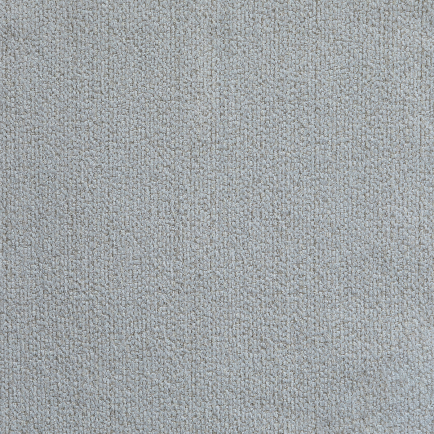 Dalmation Eggshell