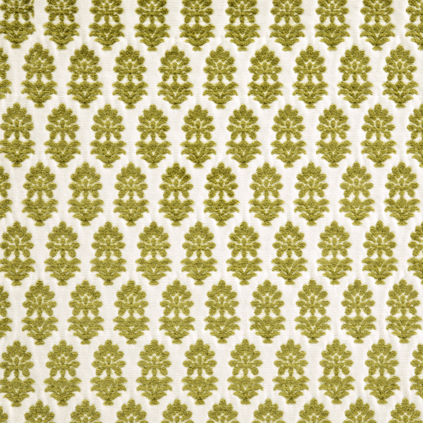 Blossom Citron