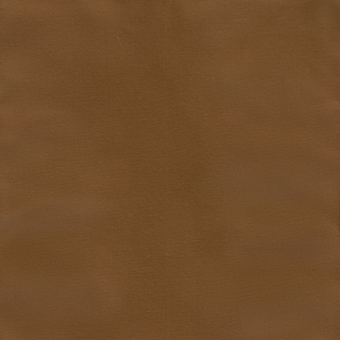Canvas Camel