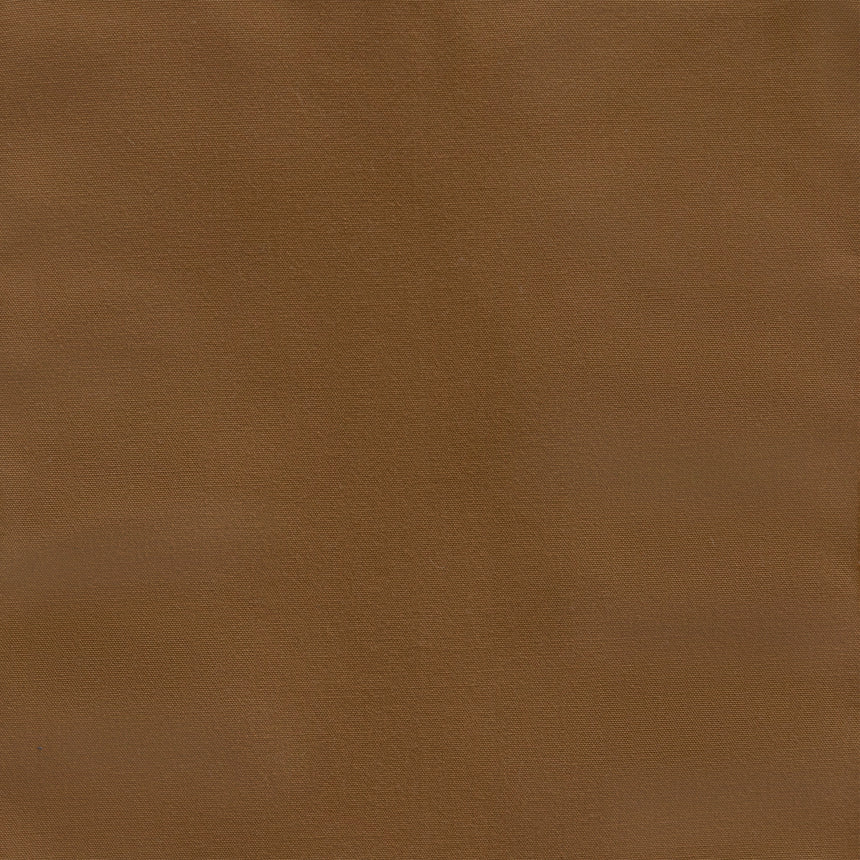 Canvas Camel
