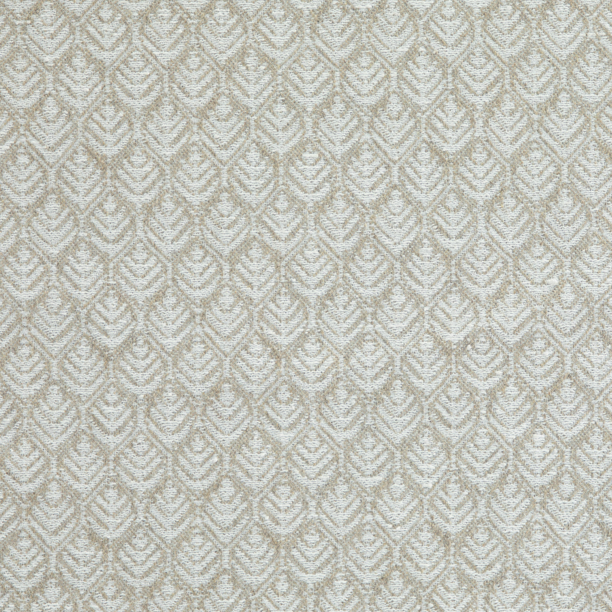 Noah Taupe