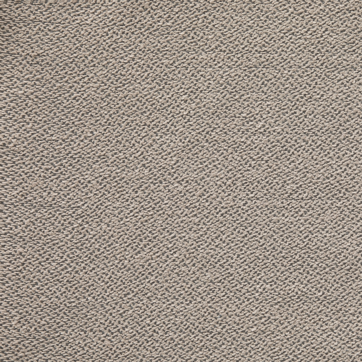 Avila Taupe
