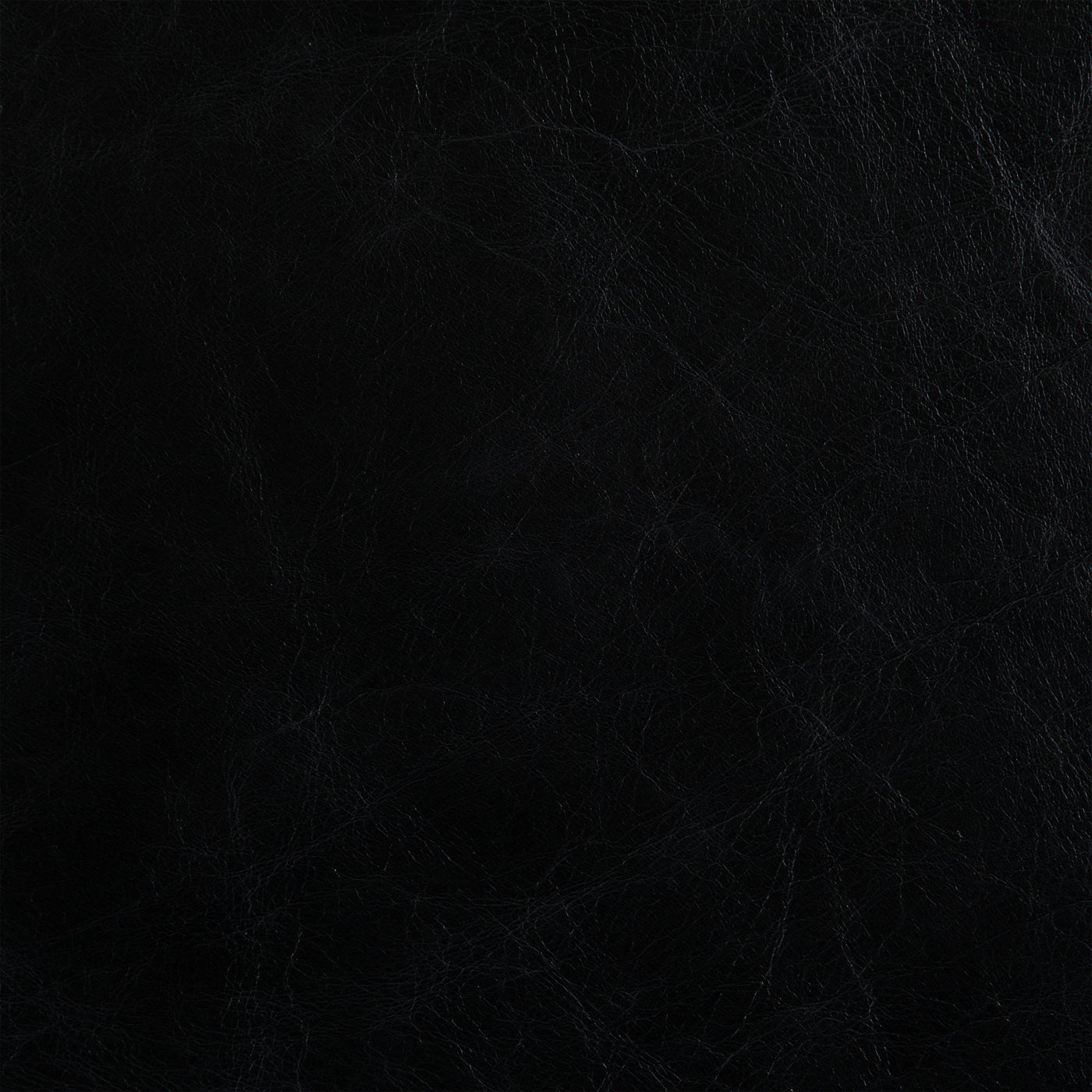 Sleek Noir